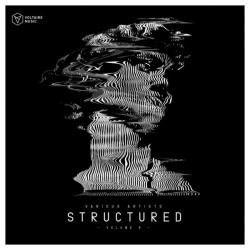 Voltaire Music Pres. Structured, Vol. 8