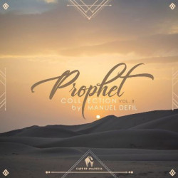 Prophet Collection, Vol. 8 (by Manuel Defil)