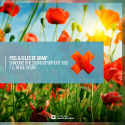 Shadows (The Sound of Without You) (F.G. Noise Mix)