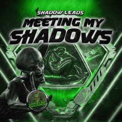 Meeting My Shadows