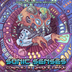 Sonic Senses (VA2)