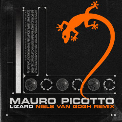 Lizard (Niels Van Gogh Remix)