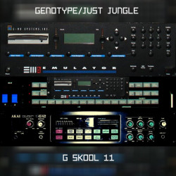 G Skool 11