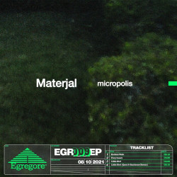 Micropolis 