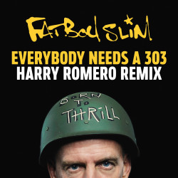 Everybody Needs A 303 (Harry Romero Remix)