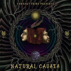 Natural Causes