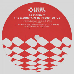 The Mountain in Front Of Us