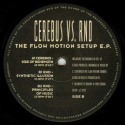 The Flow Motion Setup E.P 