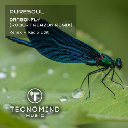 Dragonfly (Robert Reazon Remix)