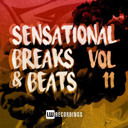 Sensational Breaks And Beats Vol. 11
