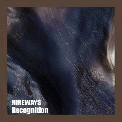 Recognition
