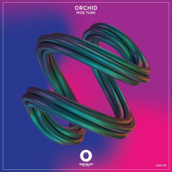 Orchid