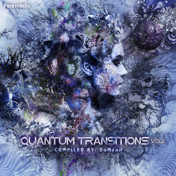 Quantum Transitions Vol. 2