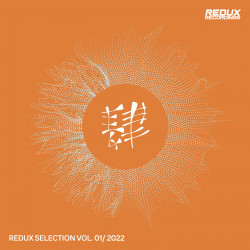 Redux Selection Vol. 1 / 2022