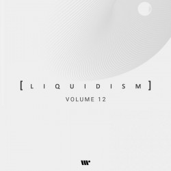 Liquidism (Volume 12)