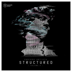 Voltaire Music Pres. Structured, Vol. 9