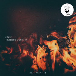 The Feeling Orchestra EP