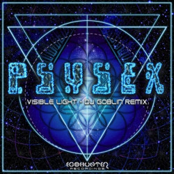 Visible Light (DJ Goblin Remix)