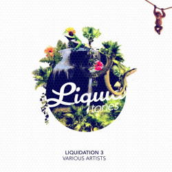 Liquidation Vol.3