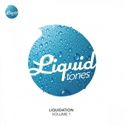 Liquidation Vol.1