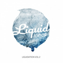 Liquidation Vol.2