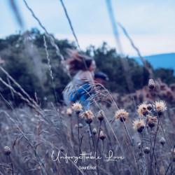 Unforgettable Love