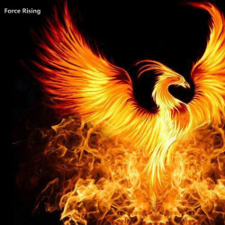 Rise Of The Phoenix