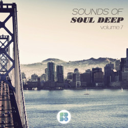Sounds Of Soul Deep Volume 7