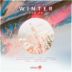 Winter Sun 04