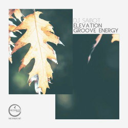 Elevation