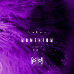 Momentum