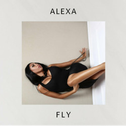 Fly