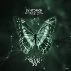 Butterfly Wing