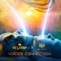 Voices Connection 