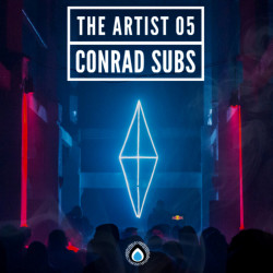 The Artist 5
