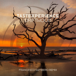 Driftwood (Francesco Sambero Remix)