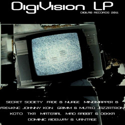 DigiVision