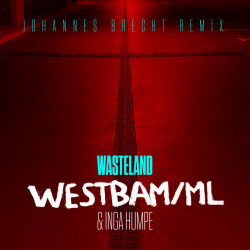 Wasteland (Johannes Brecht Remix)