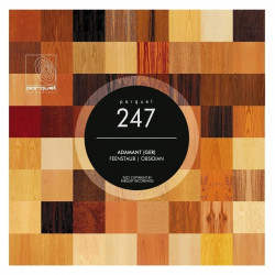 Feenstaub Obsidian EP