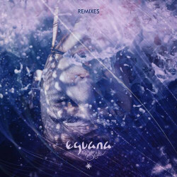 Water of Life (Remixes)