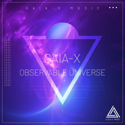 Observable Universe