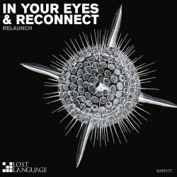 In Your Eyes and Reconnect EP