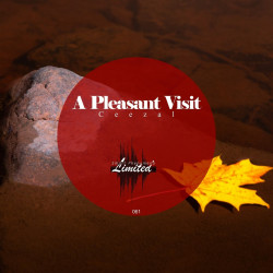 A Pleasant Visit EP