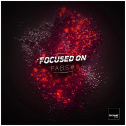 Focused On: ...