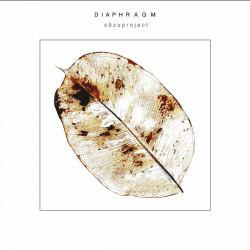 Diaphragm