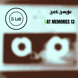 DAT Memories 13