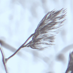 15 | 3