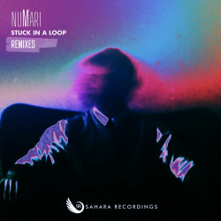 Stuck in a Loop (The Remixes)