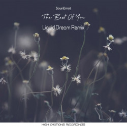 The Best Of You (Liquid Dream Remix)