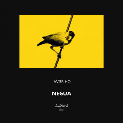 Negua 